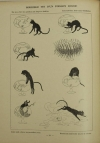 PESEUX-RICHARD et NEUMANN - Cent histoires sans paroles - 1909 - Photo 0 - livre du XXe siècle