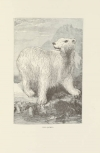 HAYES - La terre de désolation, excursion d été au Groënland - 1874 - Photo 0 - livre rare