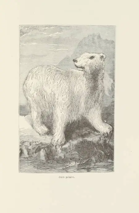 HAYES - La terre de désolation, excursion d'été au Groënland - 1874 - Photo 0 - livre rare