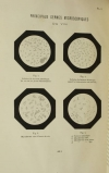 SALLERON - Notice sur les instruments de précision appliqués à l oenologie 1887 - Photo 3, livre rare du XIXe siècle