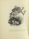 Frédéric MISTRAL - Les secrets des bestes - 1896 - Illustré par Robida - Photo 0, livre rare du XIXe siècle