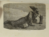 VAMBERY - Voyages d un faux derviche - Asie centrale, Téhéran, Samarcand - 1865 - Photo 2 - livre de collection