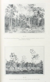 LABROY - Culture et exploitation du caoutchouc au Brésil - Rapport - 1913 - Photo 1, livre rare du XXe siècle