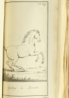Exercice et manoeuvre de la cavalerie - 128 planches - Magimel, 1813 - Photo 0, livre ancien du XIXe siècle