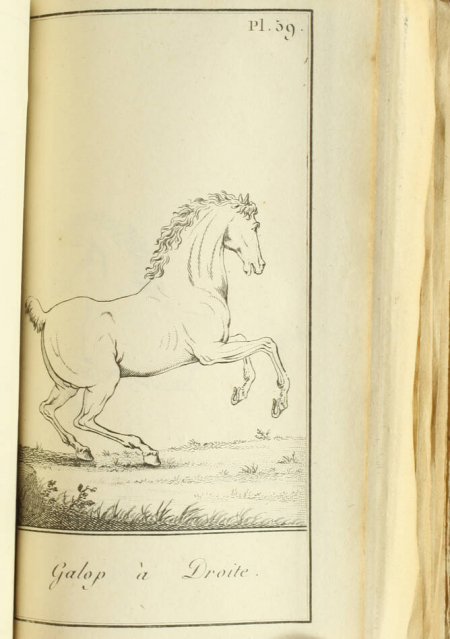 Exercice et manoeuvre de la cavalerie - 128 planches - Magimel, 1813 - Photo 0, livre ancien du XIXe siècle
