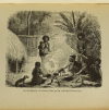 COOTE - L océan Pacifique occidental. Description des groupes d îles - 1887 - Photo 0, livre rare du XIXe siècle