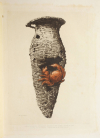 GONSE - L art japonais - 1883 - 2 volumes - Cartonnages de Engel - Photo 1, livre rare du XIXe siècle