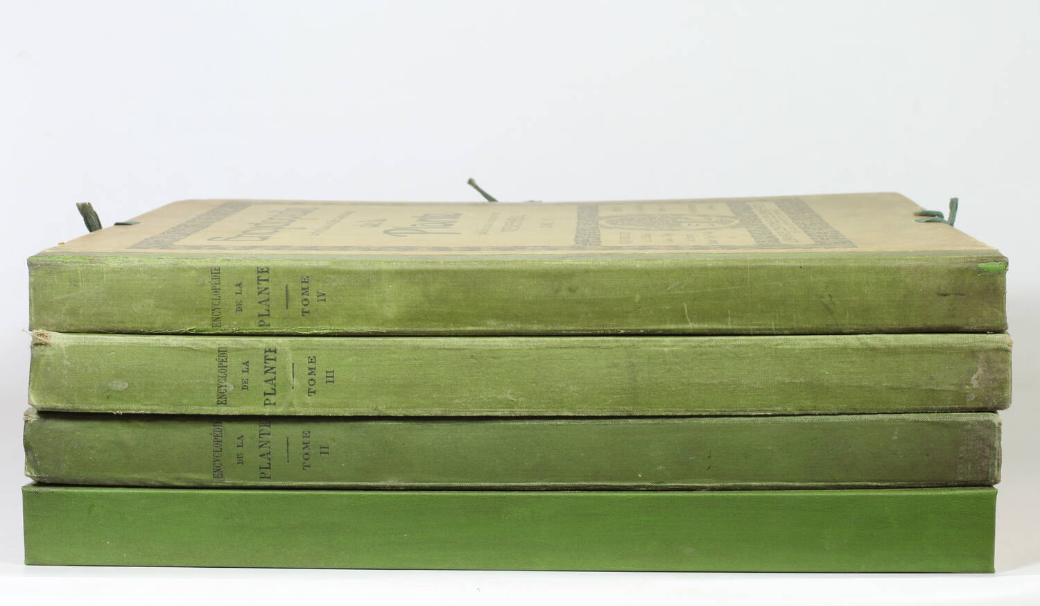 Encyclopédie artistique de la plante - 1904 - 384 planches - Mucha Meheut ... - Photo 3, livre rare du XXe siècle