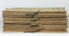 Encyclopédie artistique de la plante - 1904 - 384 planches - Mucha Meheut ... - Photo 5, livre rare du XXe siècle