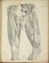 TIEDEMANN - Tabulae arteriarum - 1822 - In plano - Planches - Lithographies - Photo 10, livre rare du XIXe siècle