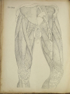 TIEDEMANN - Tabulae arteriarum - 1822 - In plano - Planches - Lithographies - Photo 11, livre rare du XIXe siècle