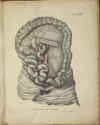 TIEDEMANN - Tabulae arteriarum - 1822 - In plano - Planches - Lithographies - Photo 12, livre rare du XIXe siècle