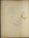 TIEDEMANN - Tabulae arteriarum - 1822 - In plano - Planches - Lithographies - Photo 16, livre rare du XIXe siècle