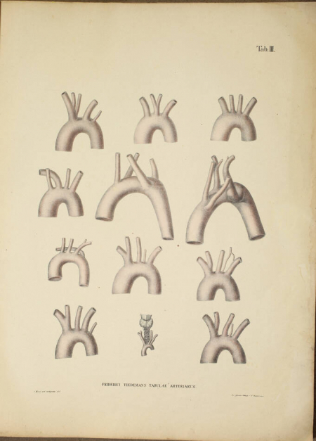 TIEDEMANN - Tabulae arteriarum - 1822 - In plano - Planches - Lithographies - Photo 0, livre rare du XIXe siècle