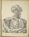 TIEDEMANN - Tabulae arteriarum - 1822 - In plano - Planches - Lithographies - Photo 8, livre rare du XIXe siècle