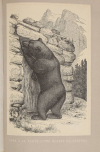 TSCHUDI - Le monde des Alpes - Description pittoresque -1870 - Gravures - Photo 0, livre rare du XIXe siècle