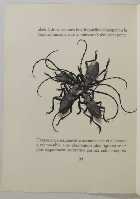 André GIDE - Les nouvelles nourritures 1958 Burins de Tavy Notton - Envoi signé - Photo 4, livre rare du XXe siècle