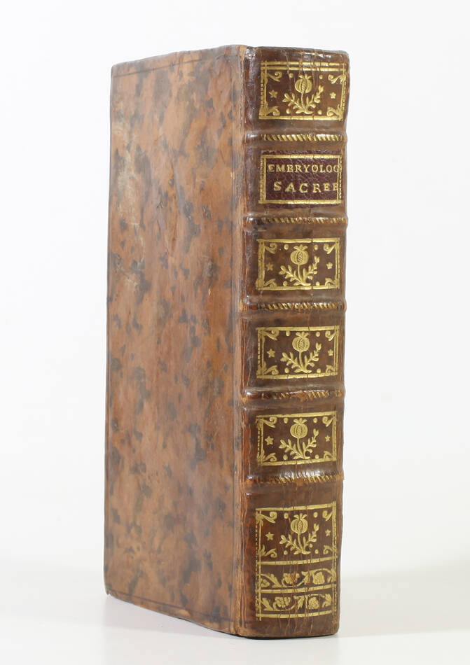 [Médecine et religion] DINOUART Embryologie sacrée - 1766 - 3 planches - Photo 0, livre ancien du XVIIIe siècle
