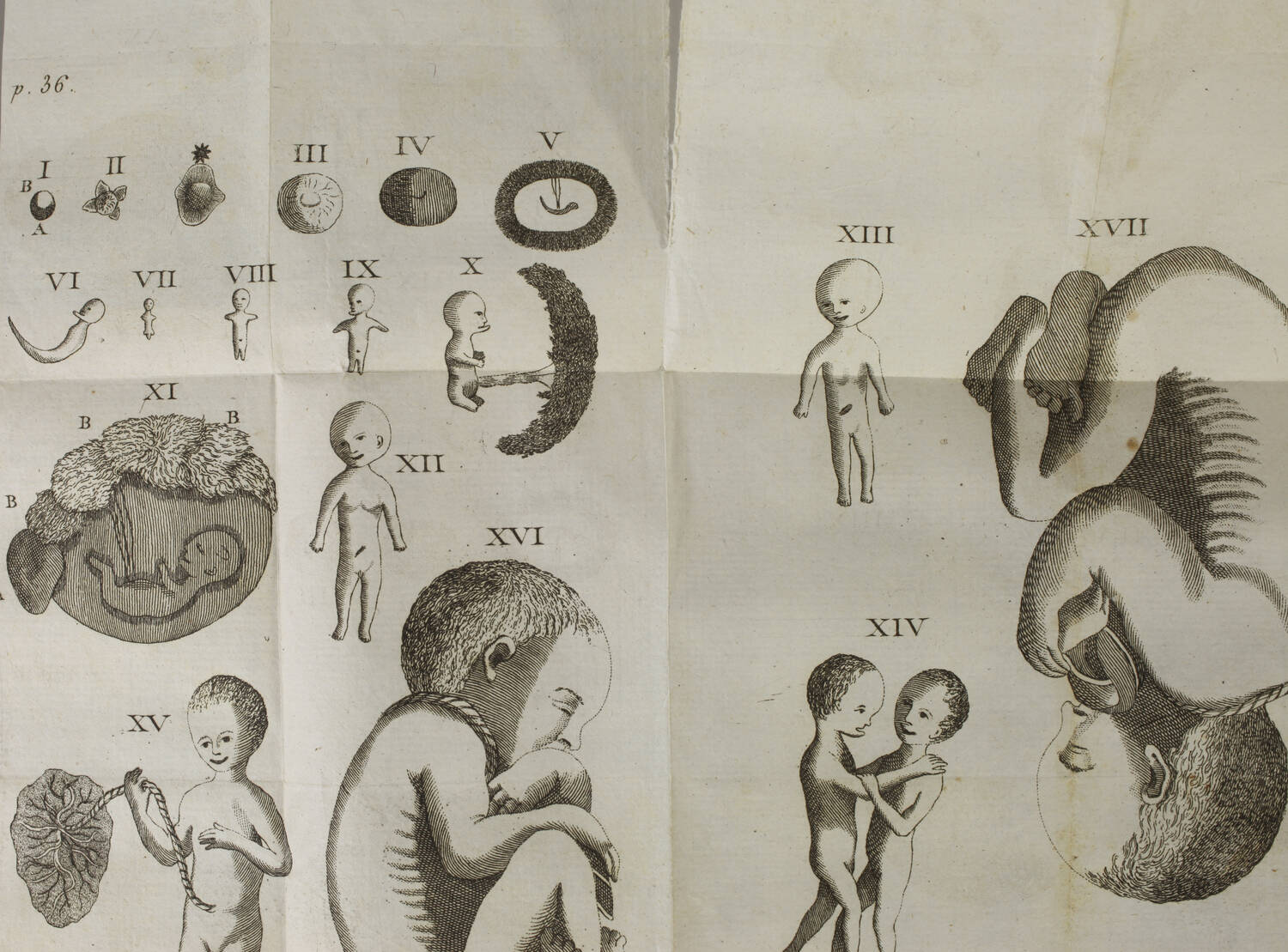 [Médecine et religion] DINOUART Embryologie sacrée - 1766 - 3 planches - Photo 1, livre ancien du XVIIIe siècle