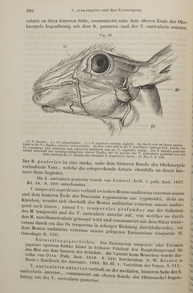 [Lapins] KRAUSE - Die Anatomie des Kaninchens - 1868 - Photo 0, livre rare du XIXe siècle