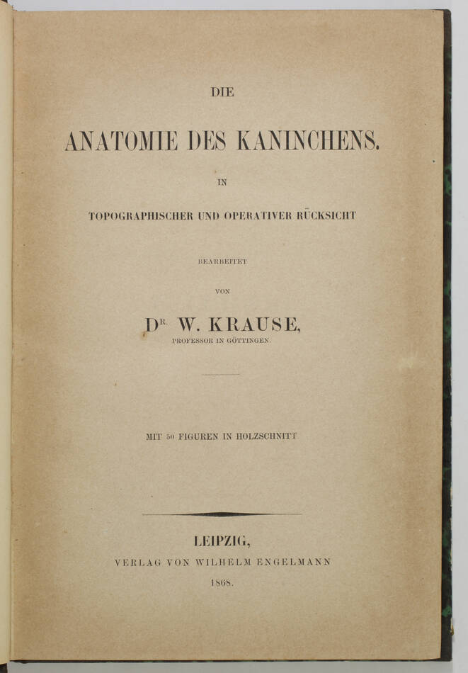 [Lapins] KRAUSE - Die Anatomie des Kaninchens - 1868 - Photo 2, livre rare du XIXe siècle