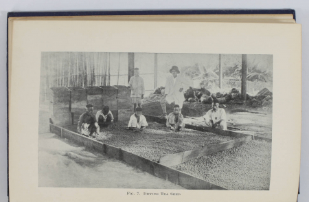 STAVEACRE (F. W. F.). Tea and tea dealing, livre rare du XXe siècle